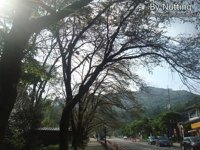 DSC03907.JPG